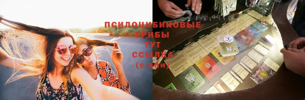 соль ск Алексеевка