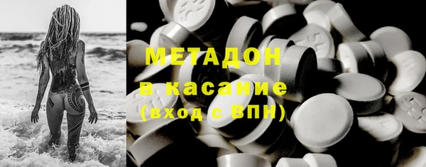 гашик Алексин