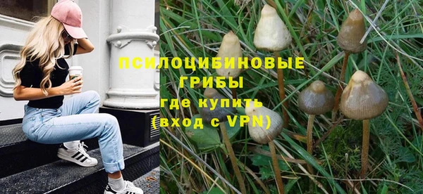 дмт Алзамай