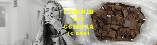 гашик Алексин