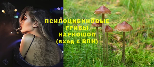 соль ск Алексеевка