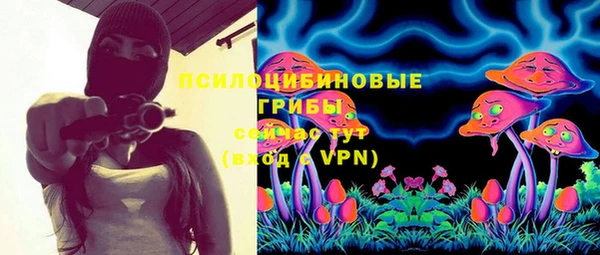соль ск Алексеевка