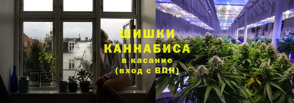гашик Алексин