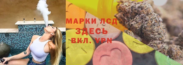 дмт Алзамай