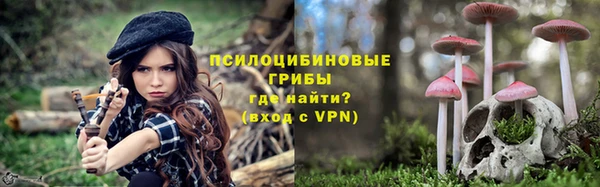 гашик Алексин