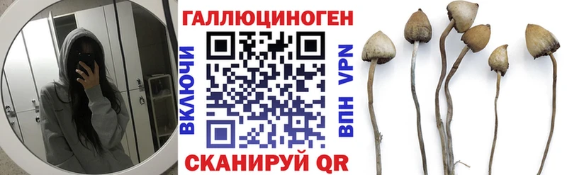Галлюциногенные грибы Psilocybe  Когалым 