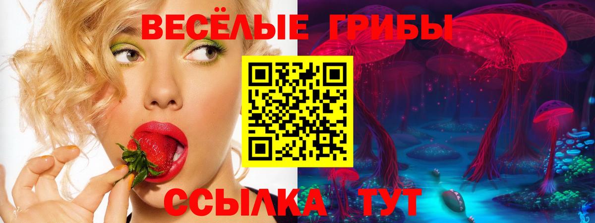 Галлюциногенные грибы Cubensis  Вход с VPN  Когалым 