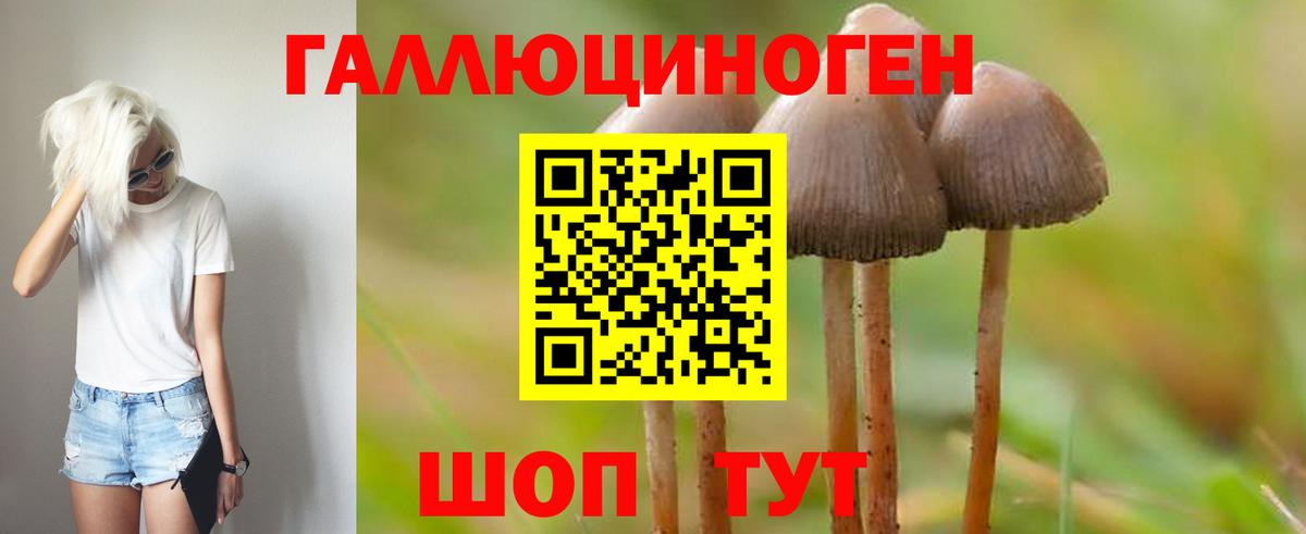 Галлюциногенные грибы GOLDEN TEACHER Когалым